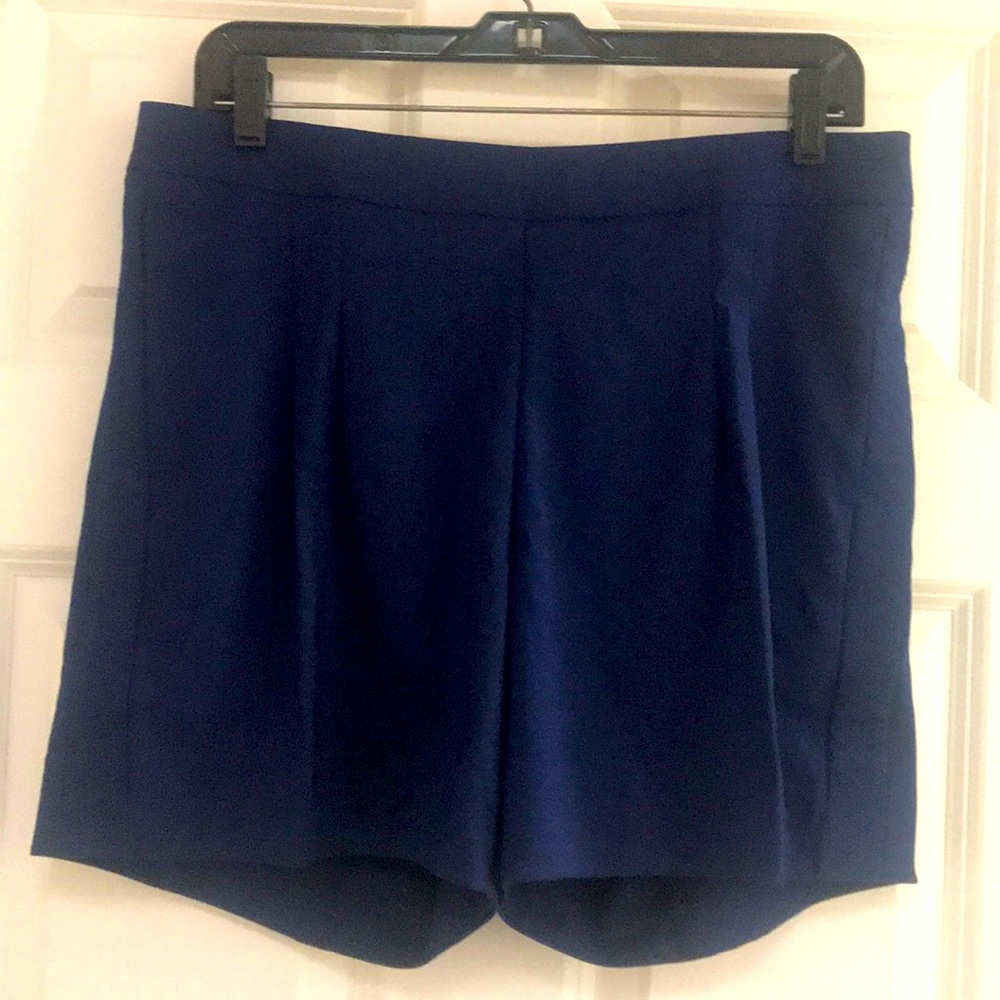 Nike Golf/Tennis/Pickleball Athleisure Shorts NWOT